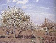 Flowering frukttradgard Louveciennes